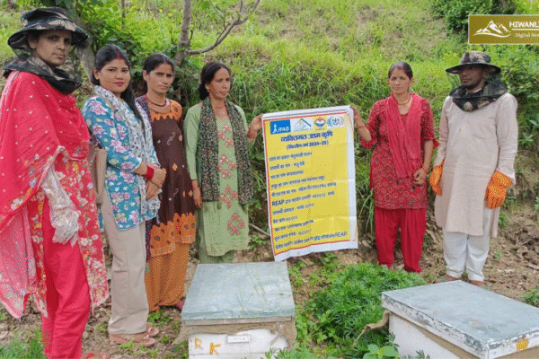 आत्मनिर्भर बनती महिलाएं! महिलाओं। के लिए बन रही प्रेरणा